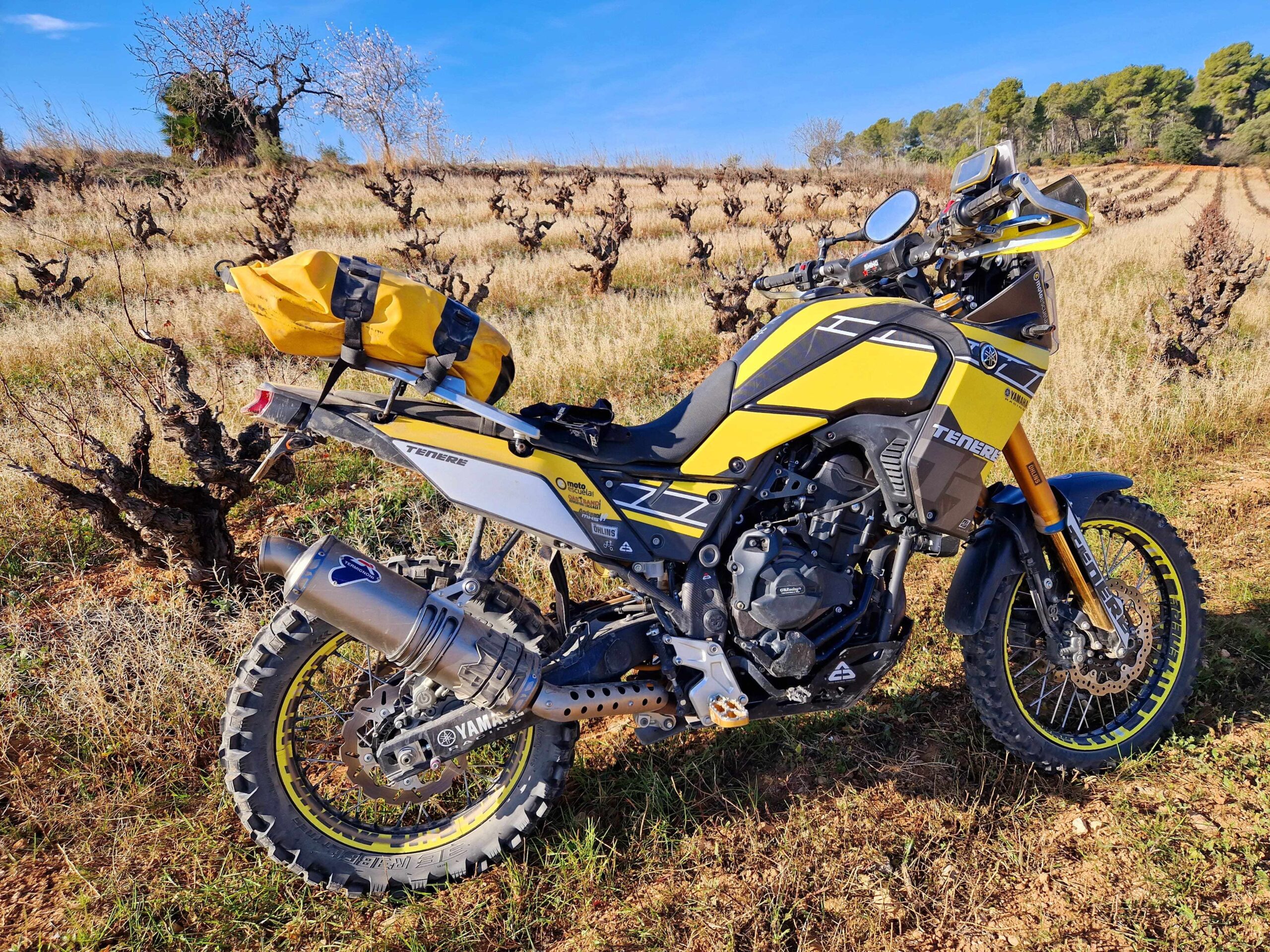 BOLSA OUED - Imagen 12