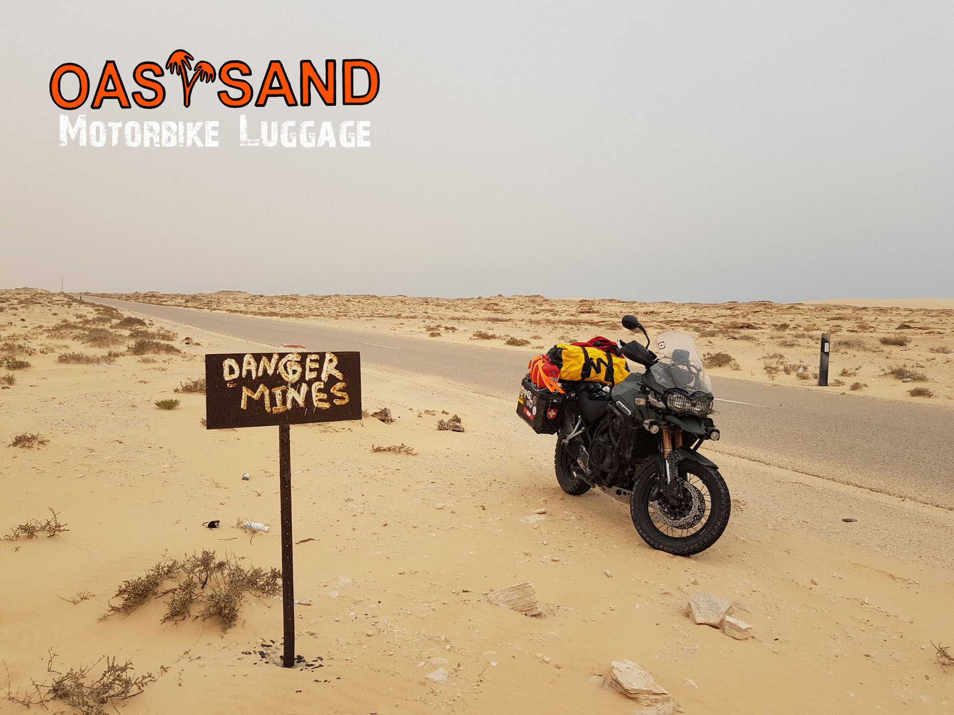 WEB SHIELD - Imagen 5