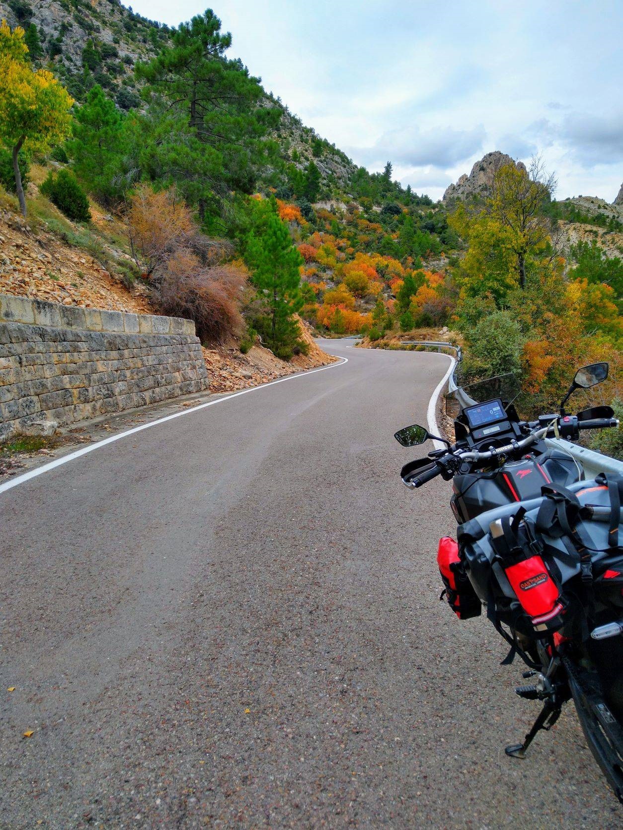 BOLSA CAMEL - Imagen 13